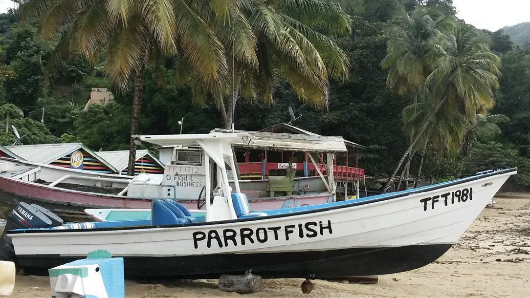 Boats on the beach in Tobago.