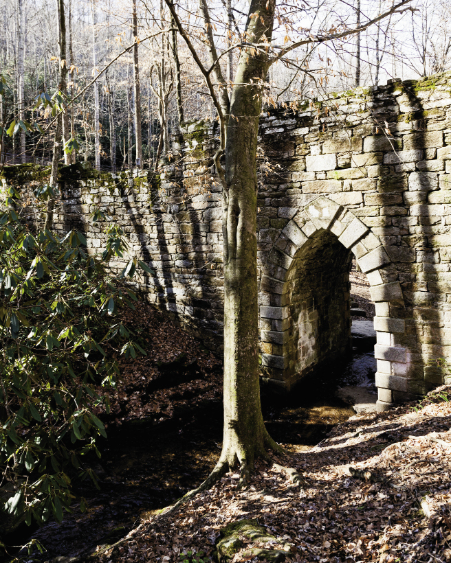 Poinsett Bridge
