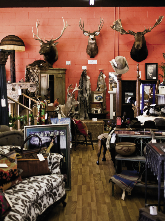 A glimpse of the treasures at Voyageur’s Antiques in downtown Landrum.