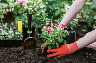 Green thumb: “I really like to garden—even when it’s oppressively hot outside. I’m also mildly obsessed with monstera.”