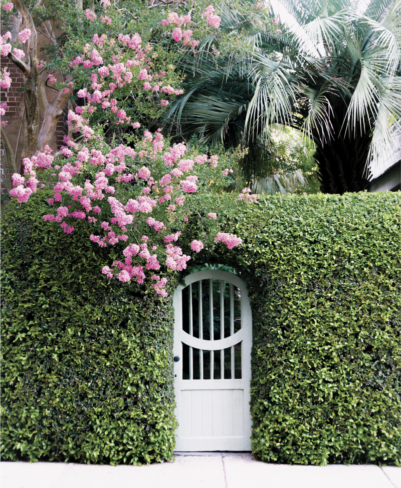 Secret Garden: An exuberant climbing rose offers a preview at what lies beyond the gate.
