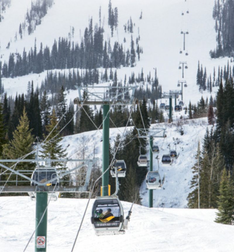 The gondola