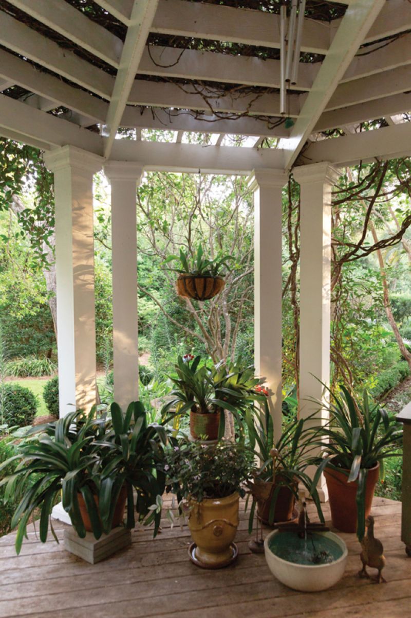 DOORWAYS &amp; DESTINATIONS: A collection of clivias on the porch bloom in shades of orange and yellow during the spring.