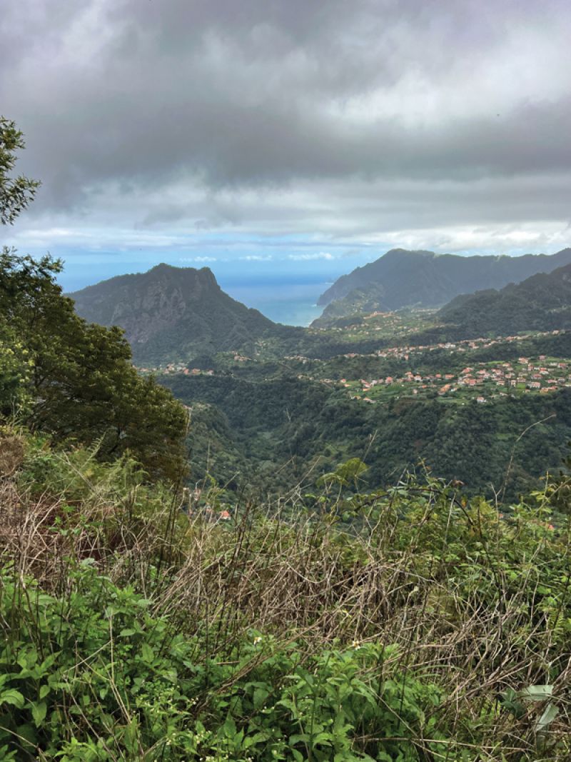 BraveLanders 4x4 tours explore the mostly undeveloped island.
