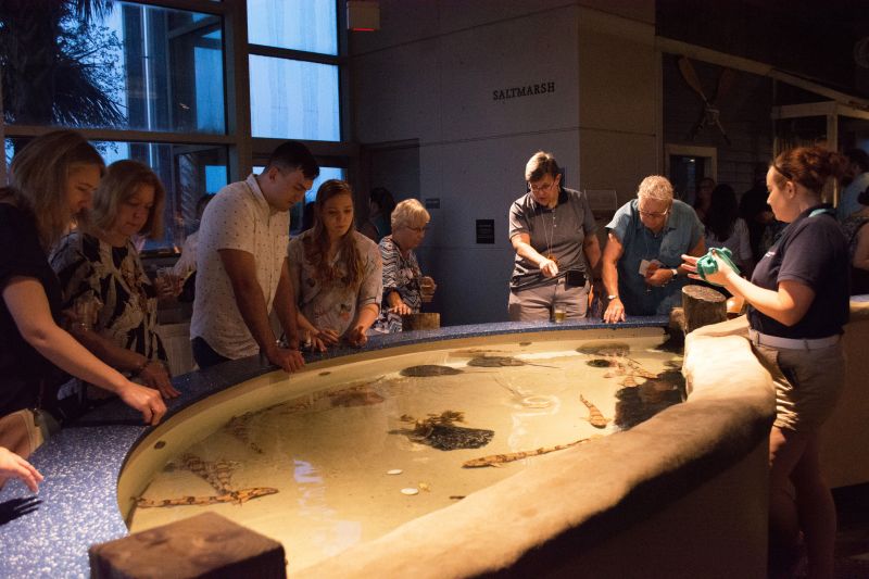 The touch tank offered guests an up-close-and-personal encounter with some of the aquarium’s critters.