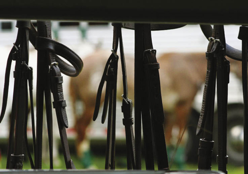 Bridles are hung on the trailer, and each player sets up a spot to kick off his shoes and pull on his boots.
